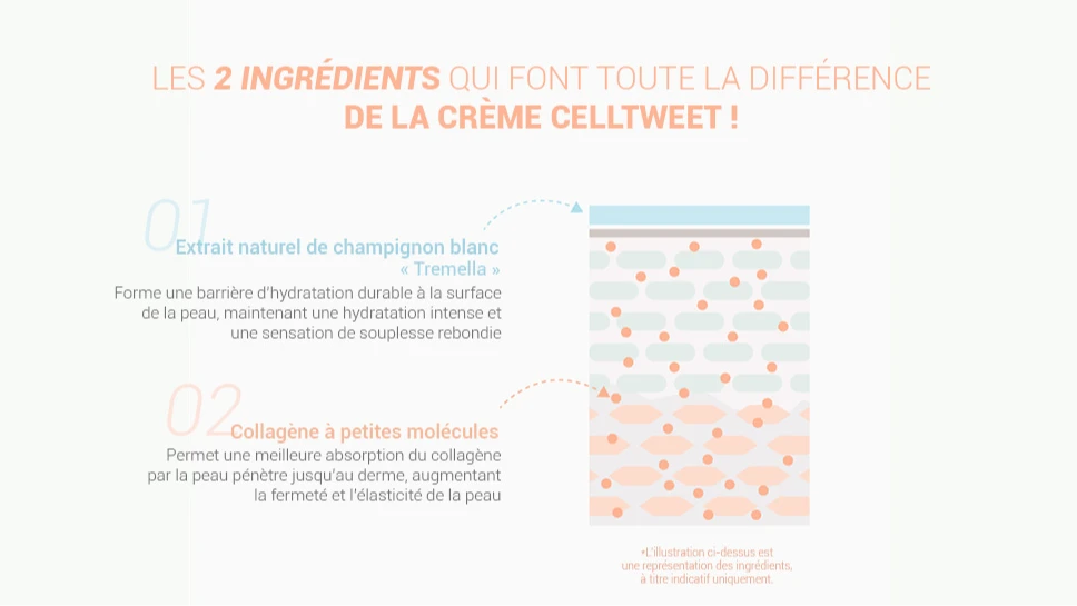Firming Cream - Crème Raffermissante