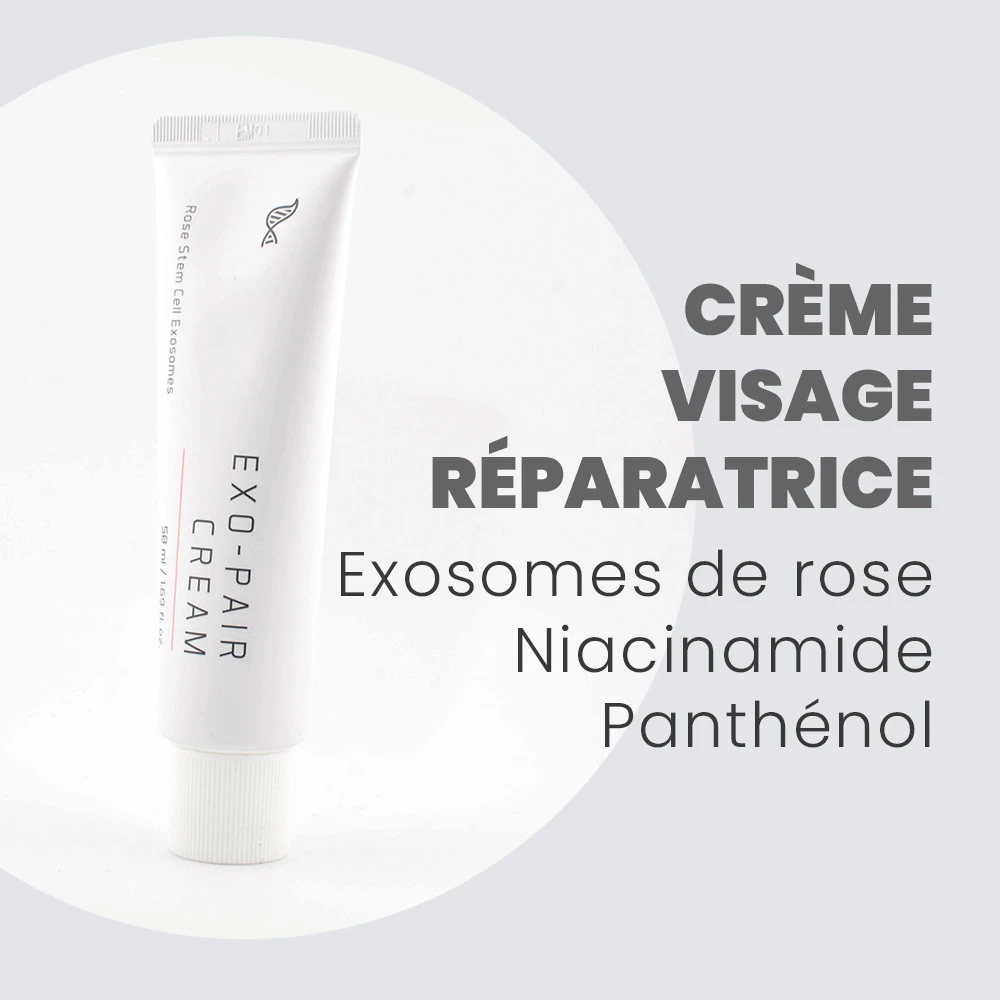 Routine Zéro Défaut